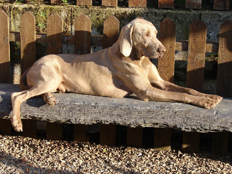 Publication : du val de Lienne