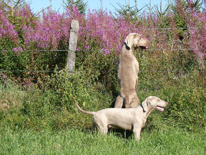 Publication : du val de Lienne