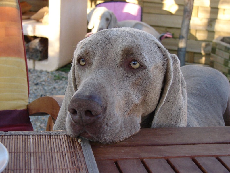 Publication : du val de Lienne