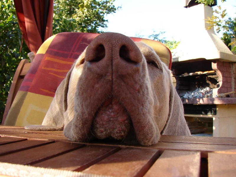 Publication : du val de Lienne