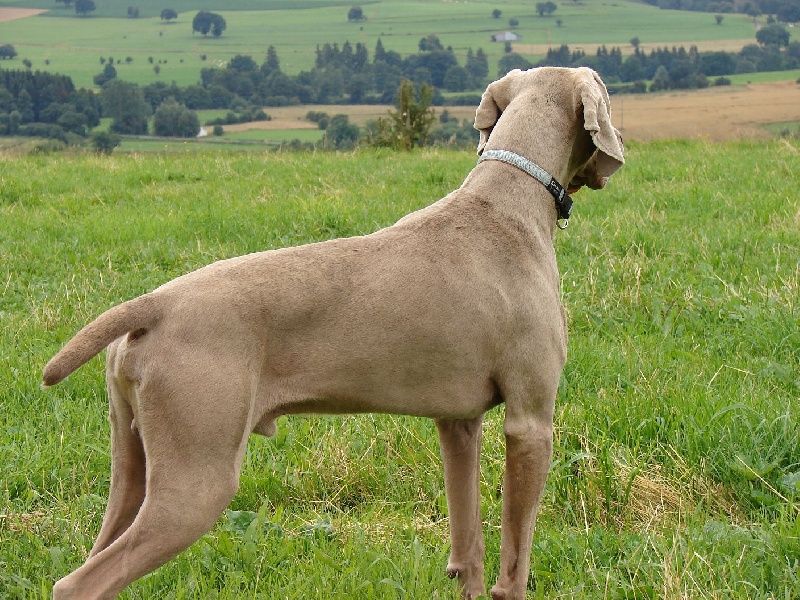 Publication : du val de Lienne