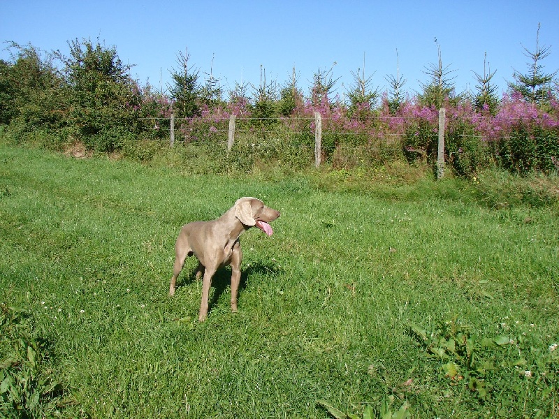 Publication : du val de Lienne