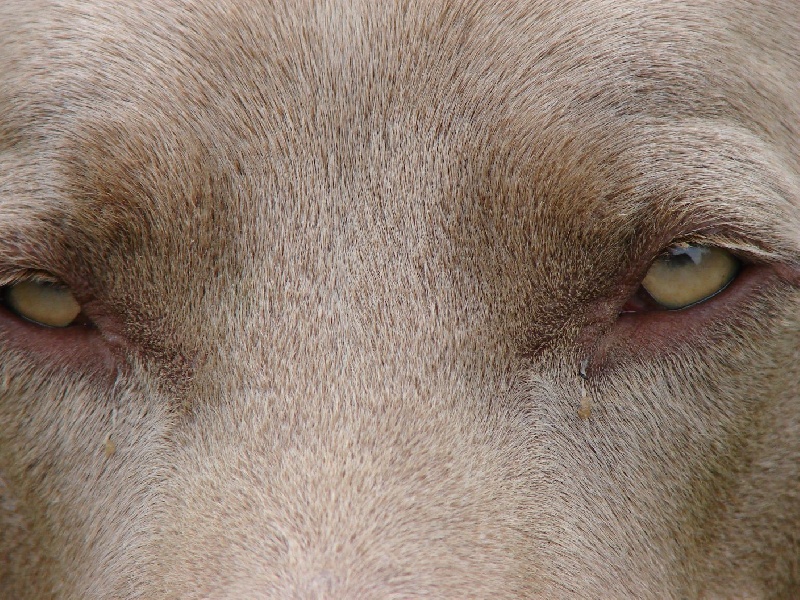 Publication : du val de Lienne