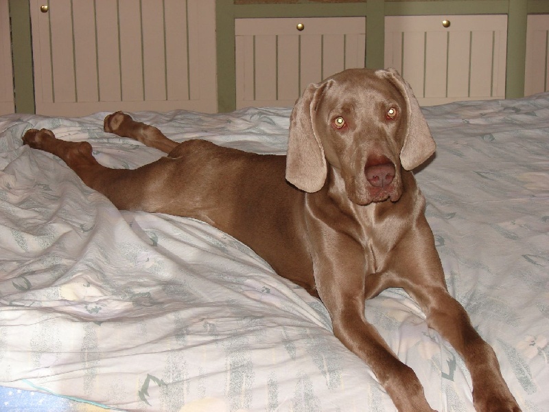 Publication : du val de Lienne