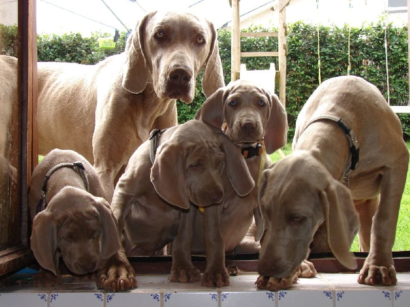 Publication : du val de Lienne