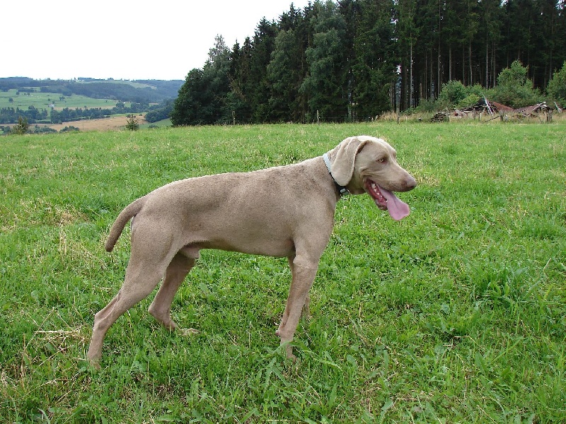 Publication : du val de Lienne