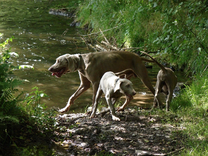 Publication : du val de Lienne