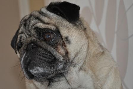 Publication : de la Marquise du Noirval Auteur : sabine Andries