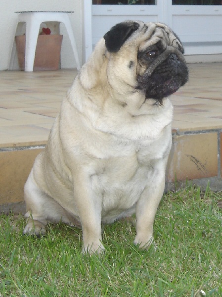 Publication : de la Marquise du Noirval Auteur : sabine Andries