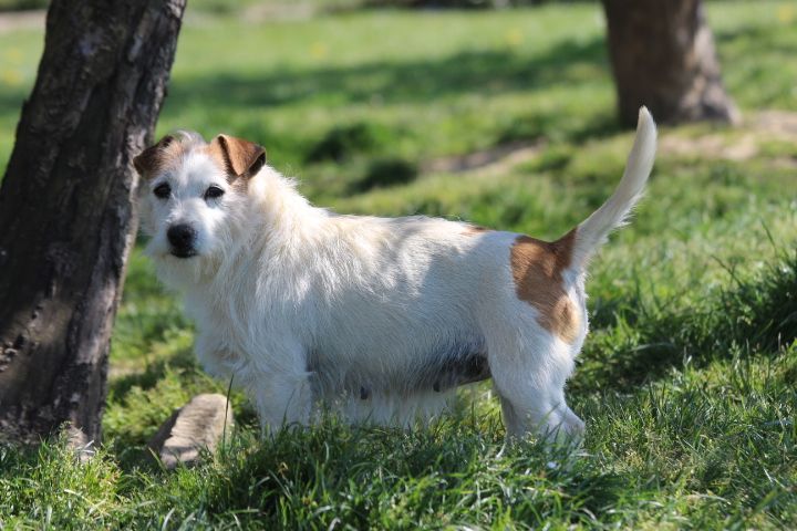 Publication : des Diamants Verts