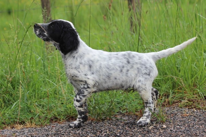 MALE 1