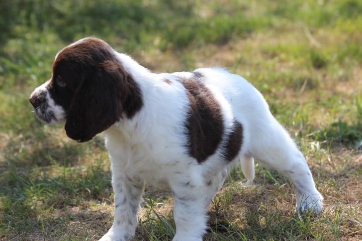 MALE 1