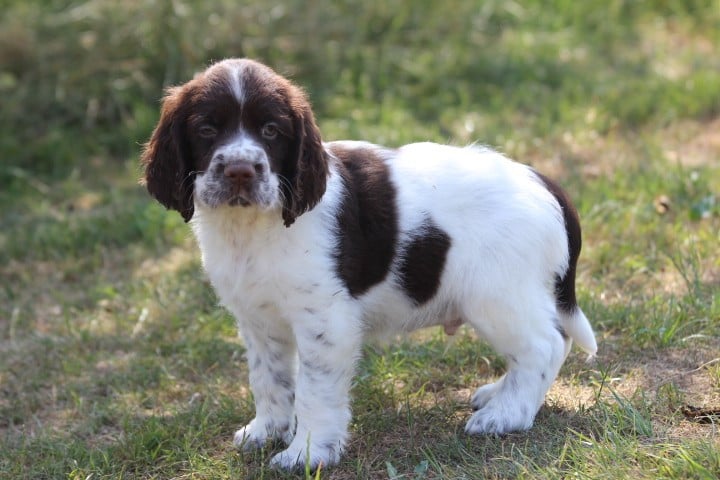 MALE 1