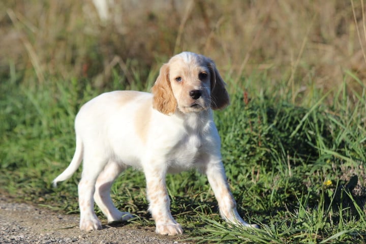 MALE 1