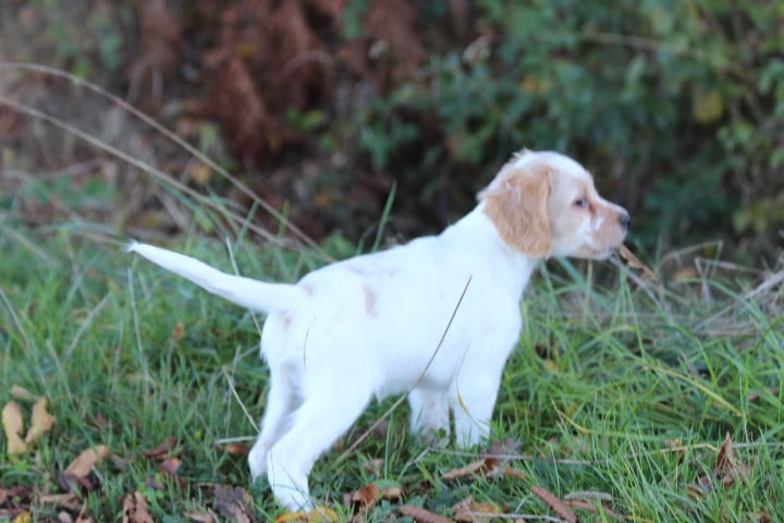 MALE2