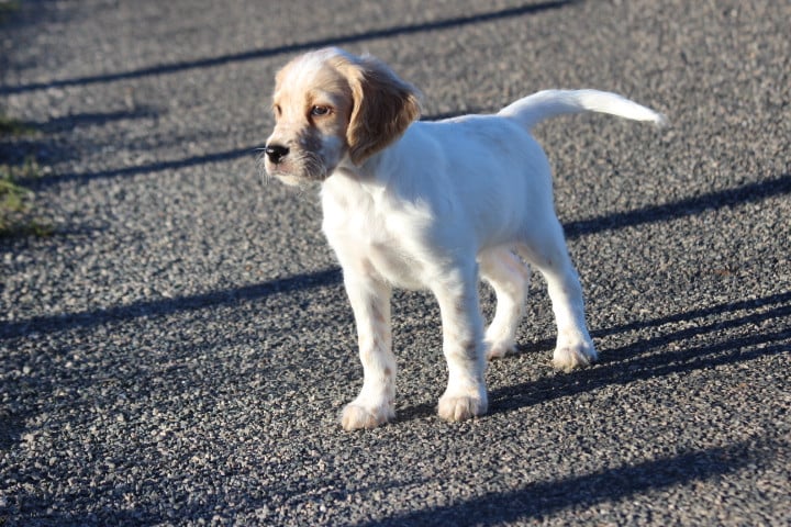 MALE2