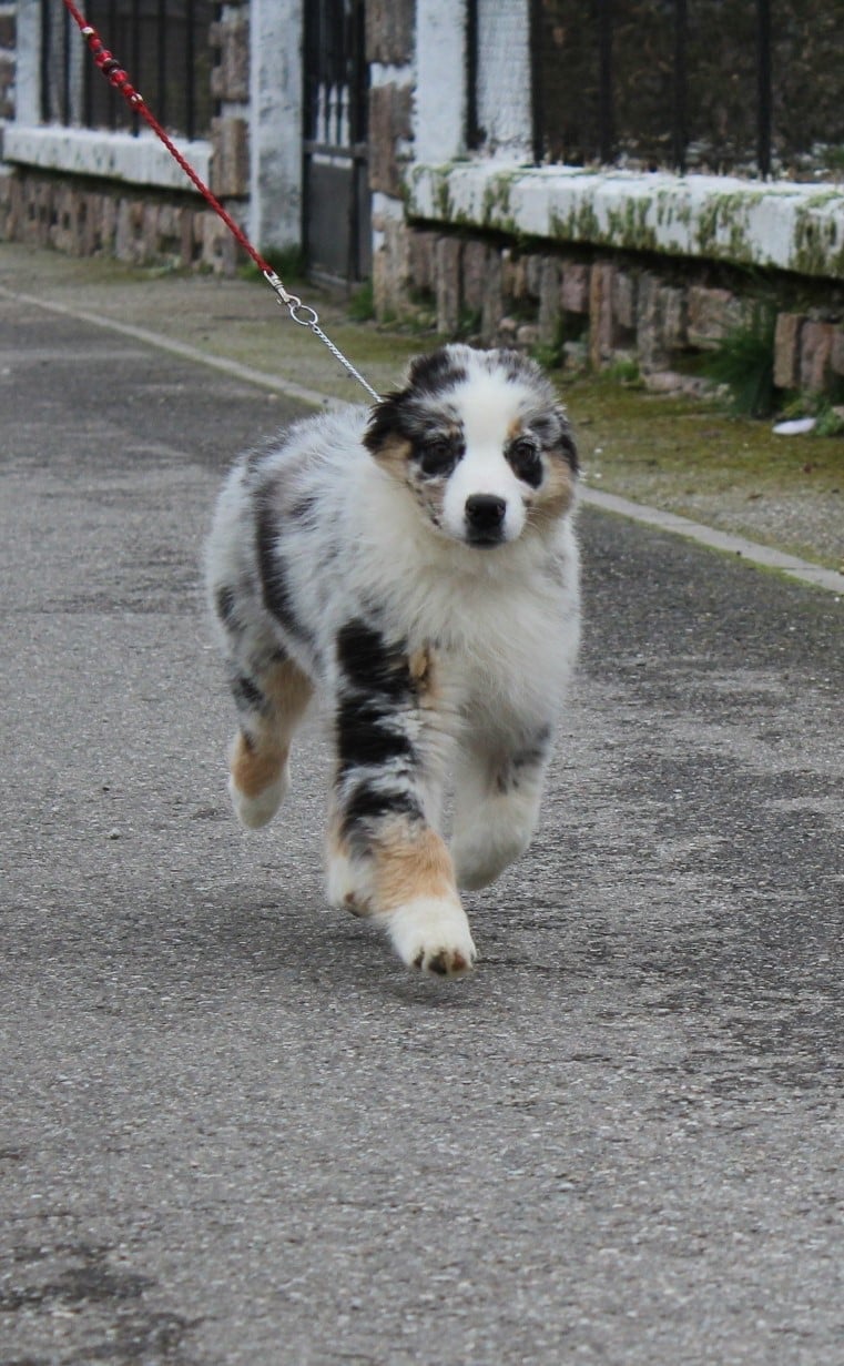 Publication : de la Plaine Ariègeoise