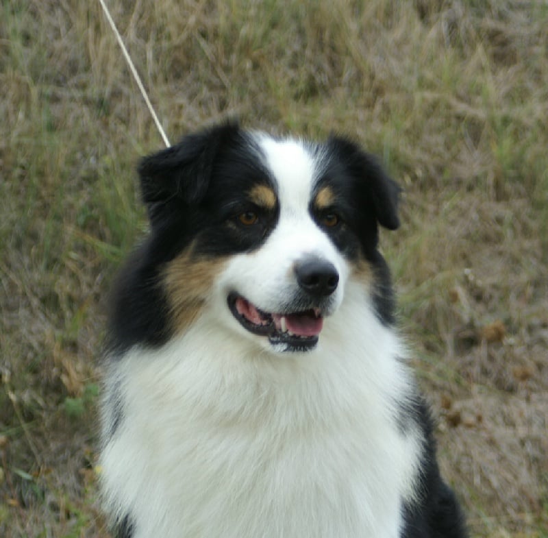 Publication : de la Plaine Ariègeoise Auteur : ribaute sandrine