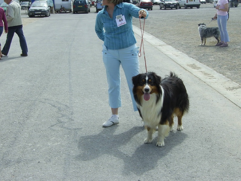 Publication : de la Plaine Ariègeoise