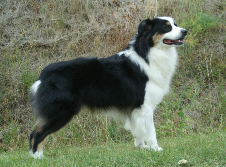 Publication : de la Plaine Ariègeoise Auteur : ribaute sandrine