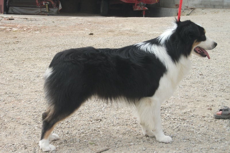 Publication : de la Plaine Ariègeoise Auteur : ribaute sandrine