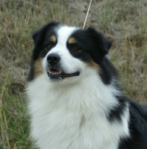 Publication : de la Plaine Ariègeoise Auteur : ribaute sandrine