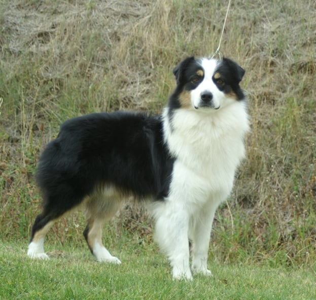 Publication : de la Plaine Ariègeoise Auteur : ribaute sandrine