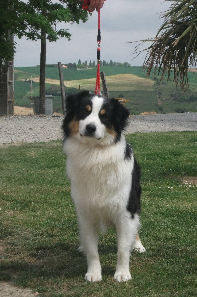 Publication : de la Plaine Ariègeoise Auteur : ribaute sandrine