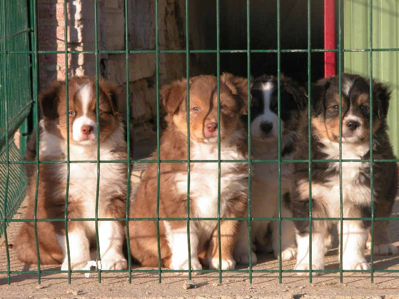 Publication : de la Plaine Ariègeoise