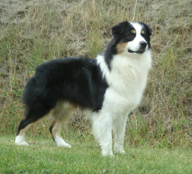 Publication : de la Plaine Ariègeoise Auteur : ribaute sandrine