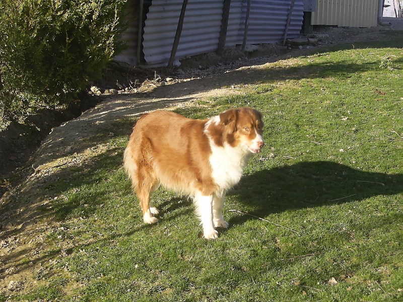 Publication : de la Plaine Ariègeoise