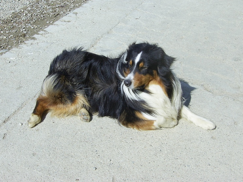 Publication : de la Plaine Ariègeoise