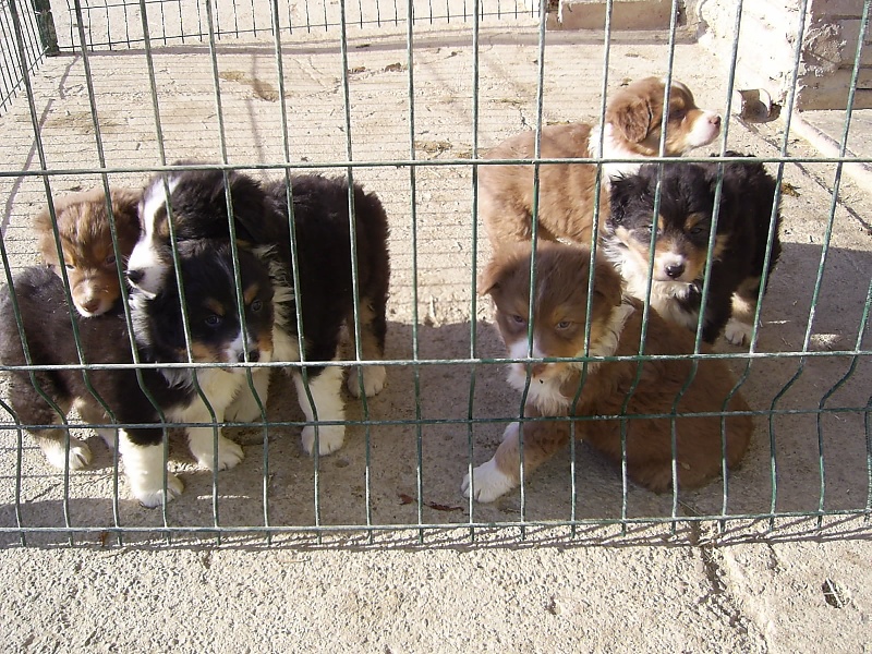 Publication : de la Plaine Ariègeoise