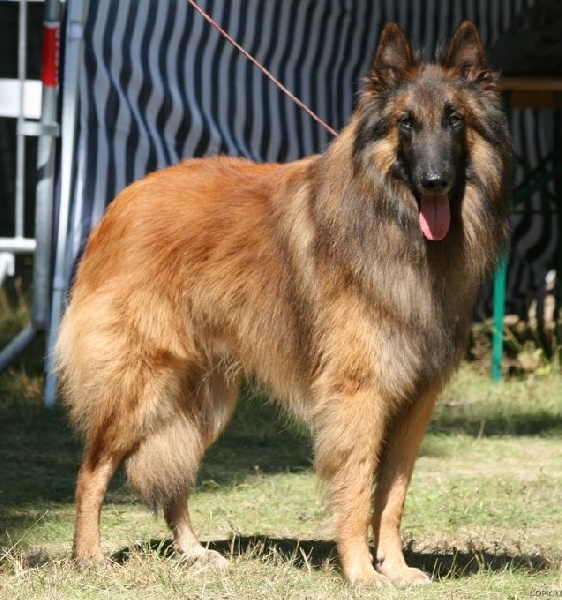 Fado Van de hoge laer - 17ème Exc Classe Ouverte