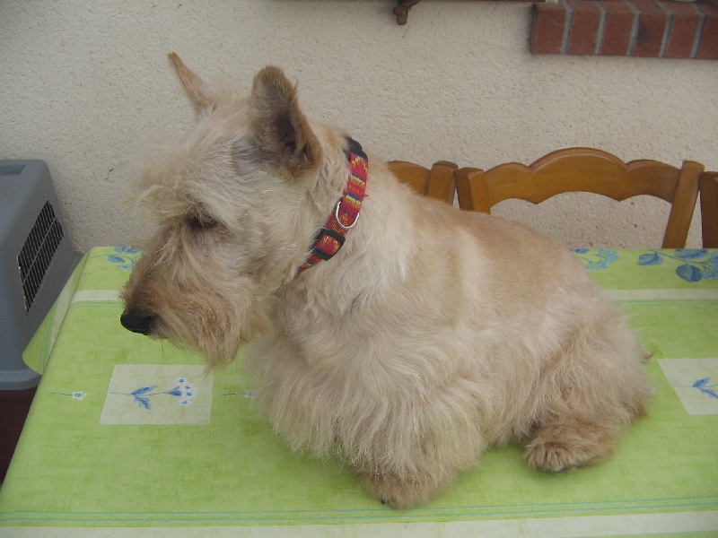 Publication : Nouvelle Generation