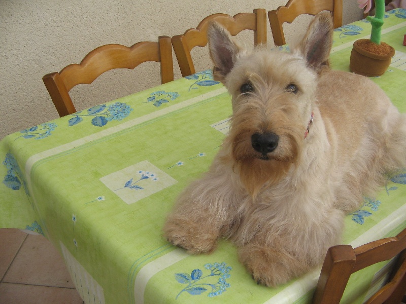 Publication : Nouvelle Generation