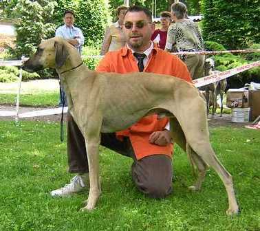 Publication : Rais Siyada