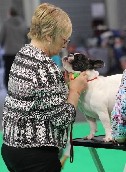 CH. Ilia du Val du Méaudret - EXCELLENT