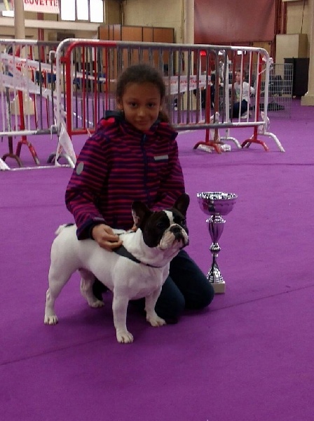 CH. Ilia du Val du Méaudret - CACS-CACIB MEILLEUR DE RACE SEX OPPOSE