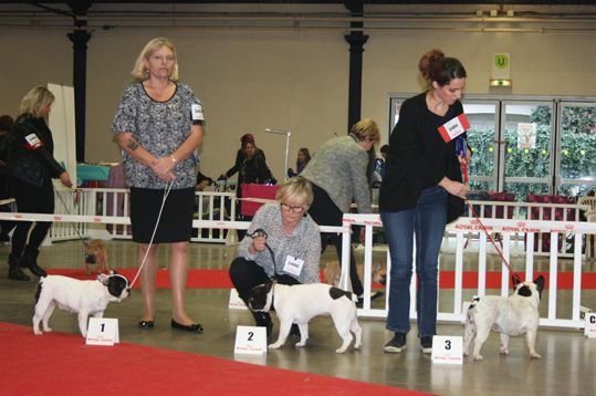 CH. Ilia du Val du Méaudret - 2EME EXC