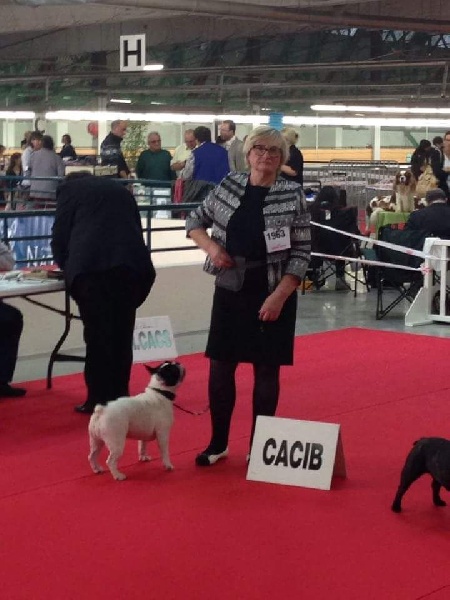 CH. Ilia du Val du Méaudret - CACS CACIB BOS