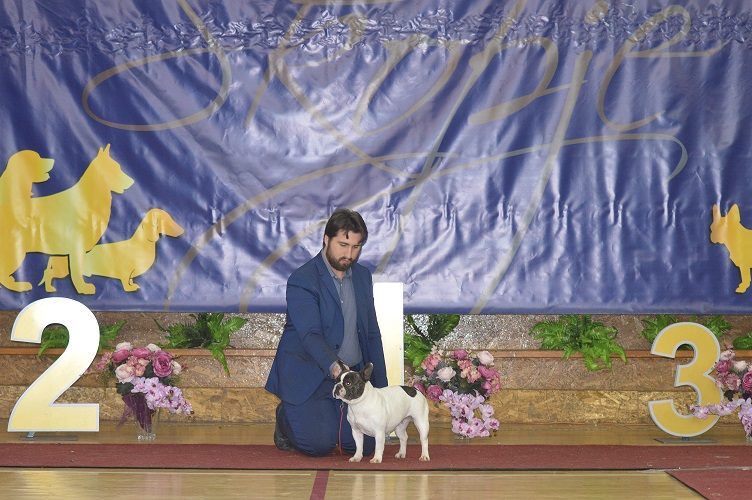 CH. Ilia du Val du Méaudret - CACS RCACIB