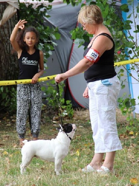 CH. Ilia du Val du Méaudret - CACS CACIB BOS