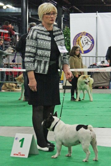 CH. Ilia du Val du Méaudret - 1ER EXC CACS BOS