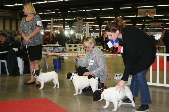 CH. Ilia du Val du Méaudret - 2EME EXC RCACS