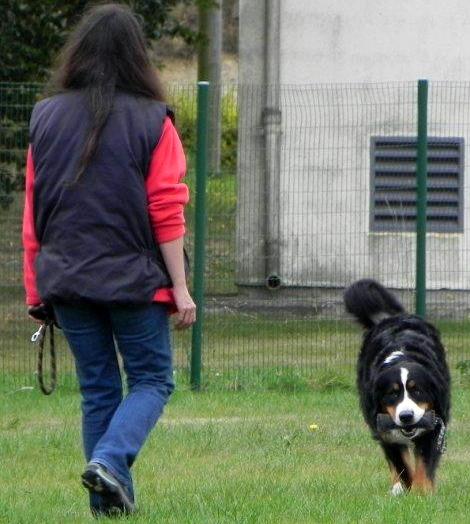 CH. France des Nuits Celtiques