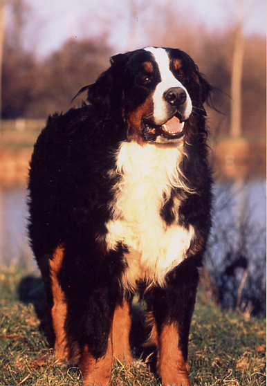 Publication : de Notre Dame des Neiges