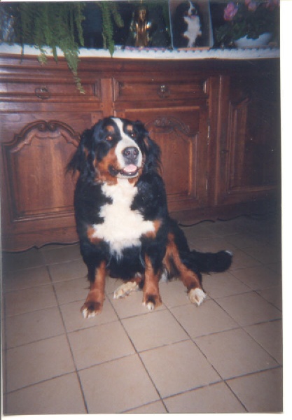 Publication : de Notre Dame des Neiges