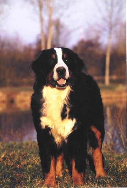 Publication : de Notre Dame des Neiges