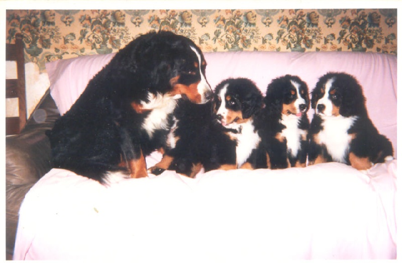 Publication : de Notre Dame des Neiges